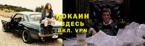 дживик Белокуриха