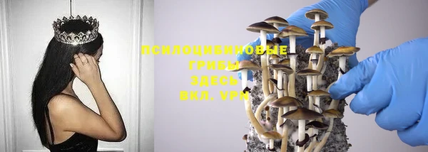 MDMA Нефтекумск