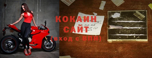 дживик Белокуриха