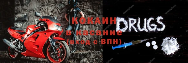 дживик Белокуриха